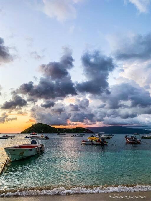 Villa Ker Iguane Terre De Haut Les Saintes المظهر الخارجي الصورة