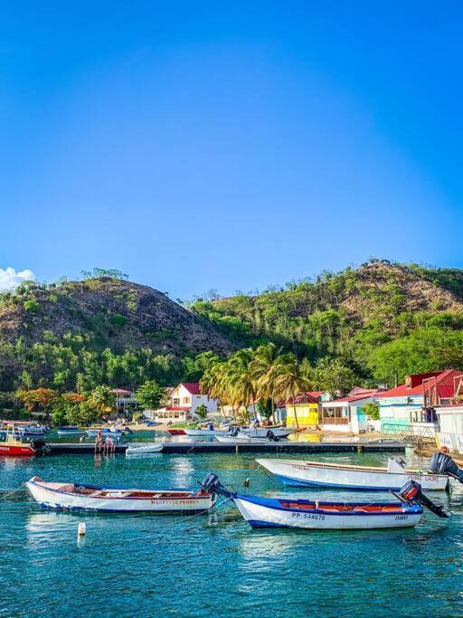 Villa Ker Iguane Terre De Haut Les Saintes المظهر الخارجي الصورة
